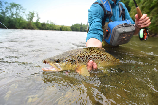 Catch And Release Fishing